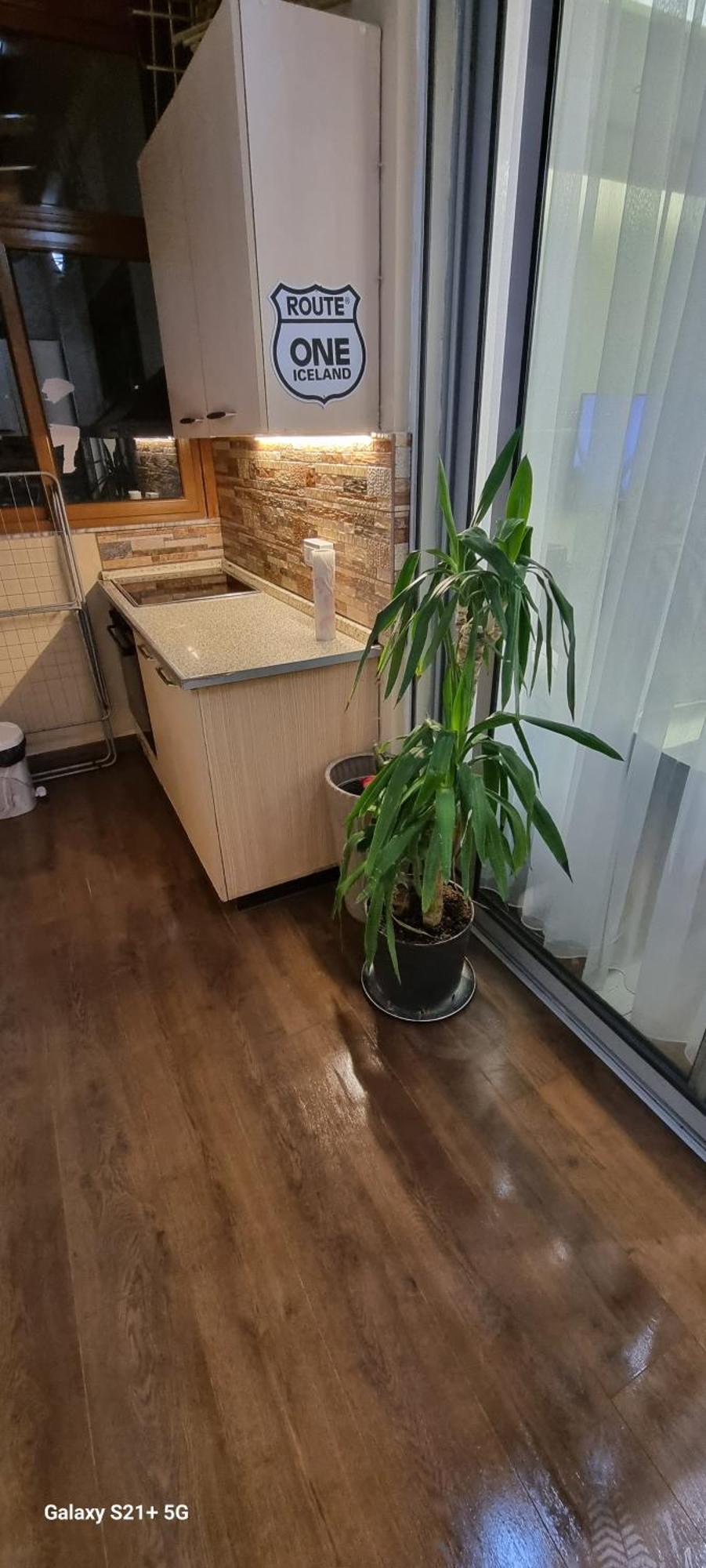 Daily 1 Tirana